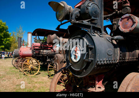 Dampf-Traktoren, große Oregon Dampf-Up, antike Powerland, Brooks, Oregon Stockfoto