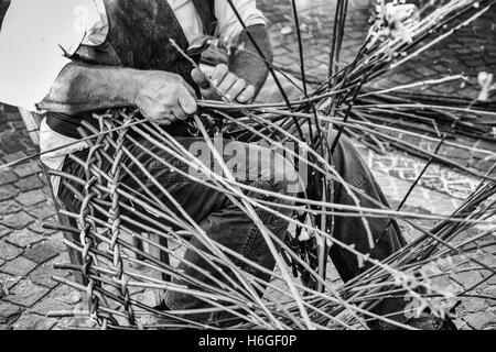 Artisan baut Weidenkörbe mit den Zweigen der Salix Viminalis. Stockfoto