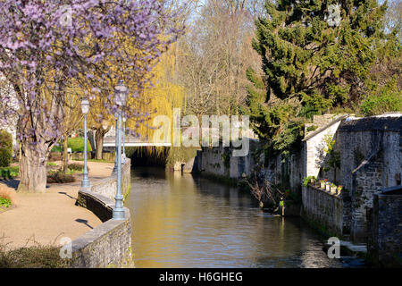 Fluss Aure mit Bäumen in der Stadt Bayeux, eine Gemeinde im Département Calvados in der Normandie im Nordwesten Frankreichs Stockfoto