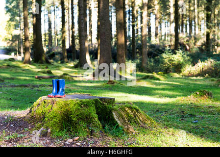 Paar von Wellington's Kind Stiefel auf der sonnenbeschienenen Baumstumpf in bellever Wald entsorgt in Dartmoor in Devon, Großbritannien Stockfoto