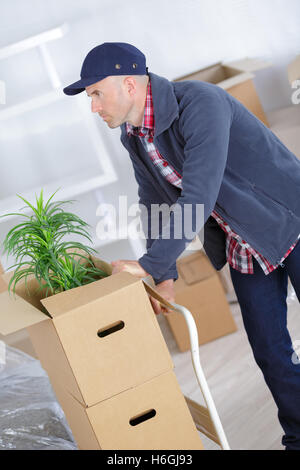 Mann schob Stapel verschieben Boxen zum LKW Stockfoto