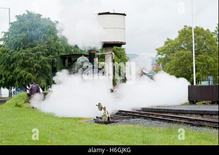 Gräfin auf der Welspool and Llanfair Railway in Welshpool Dampf ablassen Stockfoto