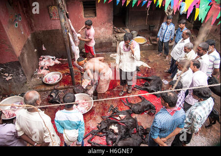 Organe der geopferten Ziegen auf Kali Tempel Kali Ghat West Bengal Kolkata Indien. Stockfoto