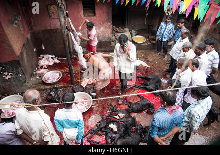 Organe der geopferten Ziegen auf Kali Tempel Kali Ghat West Bengal Kolkata Indien. Stockfoto