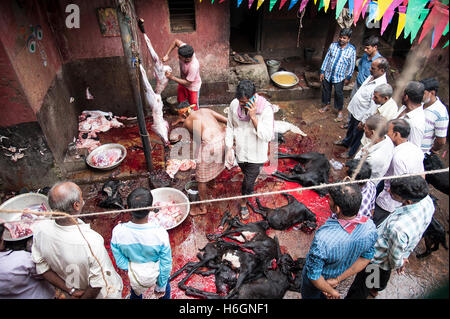 Organe der geopferten Ziegen auf Kali Tempel Kali Ghat West Bengal Kolkata Indien. Stockfoto