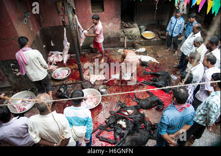 Organe der geopferten Ziegen auf Kali Tempel Kali Ghat West Bengal Kolkata Indien. Stockfoto