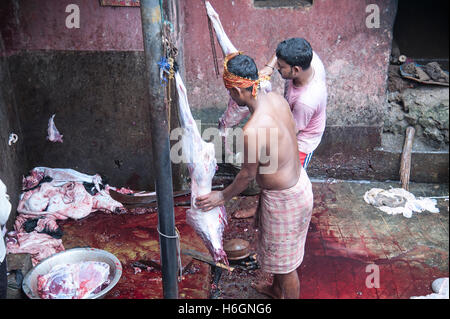 Organe der geopferten Ziegen auf Kali Tempel Kali Ghat West Bengal Kolkata Indien. Stockfoto