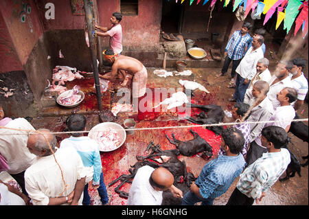 Organe der geopferten Ziegen auf Kali Tempel Kali Ghat West Bengal Kolkata Indien. Stockfoto