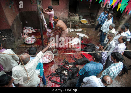 Organe der geopferten Ziegen auf Kali Tempel Kali Ghat West Bengal Kolkata Indien. Stockfoto