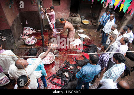 Organe der geopferten Ziegen auf Kali Tempel Kali Ghat West Bengal Kolkata Indien. Stockfoto