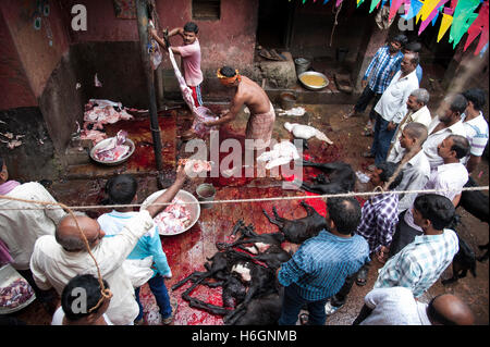 Organe der geopferten Ziegen auf Kali Tempel Kali Ghat West Bengal Kolkata Indien. Stockfoto