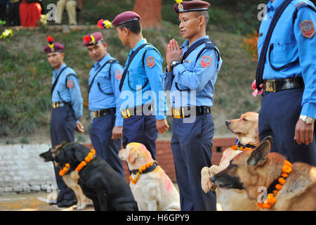 Kathmandu, Nepal. 29. Oktober 2016. Ein ausgebildeter Hund der nepalesischen Polizei folgt den Anweisungen seines Meisters während der "Kukur Tihar", ein Hundefest. Tihar ist ein Hindu-Festival für 5 Tage in Nepal gefeiert. Nepalesen Anbetung füttern Hund, leckeres Essen am zweiten Tag des Tihar. Hund ist ein vertrauenswürdiger Wächter des menschlichen Seins. Tihar Mark als das Fest der Lichter, wie Menschen schmückt ihre Bewohner mit verschiedenen Blumengirlanden, Öllampen und bunten Glühbirnen. © Narayan Maharjan/Pacific Press/Alamy Live-Nachrichten Stockfoto