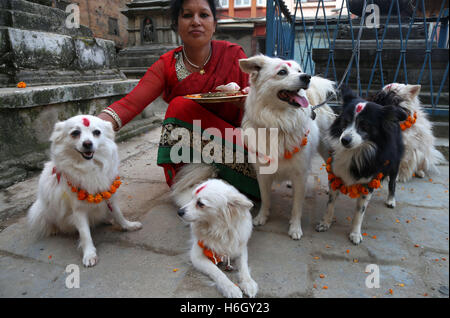 Kathmandu, Nepal. 29. Oktober 2016. Hunde sind am zweiten Tag der religiöses Fest Tihar in Kathmandu verehrt. Tihar ist ein fünf Tage zweitgrößte Festival verschiedene Tiere wie Hund, Kühe und Krähe usw. gewidmet. Bildnachweis: Archana Shrestha/Pacific Press/Alamy Live-Nachrichten Stockfoto