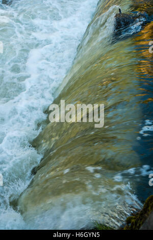 Fließendes Wasser bei Tumwater Wasserfällen schafft einen glänzende Vorhang. Stockfoto