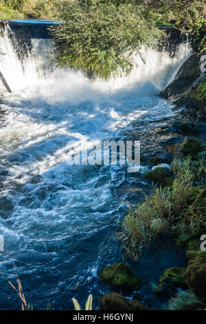 Closeup Aufnahme eines Teils der Tumwater fällt mit Büschen hängen über dem Wasser. Stockfoto