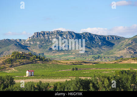 Blick auf die Weinberge der Rioja Alta Wein Region in der Nähe von Haro, La Rioja, Spanien Stockfoto