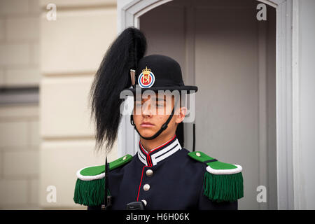 Ein Soldat, einer der Wachen des Königs, außerhalb des königlichen Palastes, Oslo, Norwegen Stockfoto