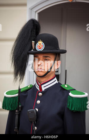 Ein Soldat, einer der Wachen des Königs, außerhalb des königlichen Palastes, Oslo, Norwegen Stockfoto