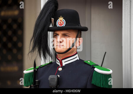 Ein Soldat, einer der Wachen des Königs, außerhalb des königlichen Palastes, Oslo, Norwegen Stockfoto