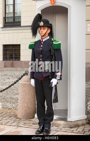 Ein Soldat, einer der Wachen des Königs, außerhalb des königlichen Palastes, Oslo, Norwegen Stockfoto