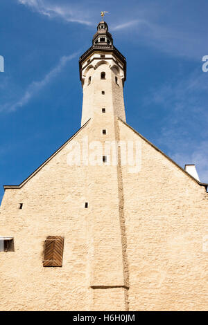 Rathaus, Tallinna Raekoja, Rathausplatz, Raekoja Plats, Altstadt, Tallinn, Estland Stockfoto