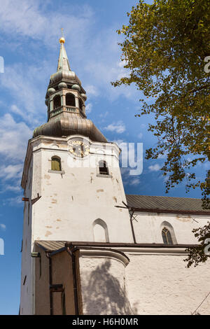 Kathedrale der Heiligen Maria der Jungfrau, auch bekannt als Domberg, Altstadt, Dom, Tallinn, Estland Stockfoto