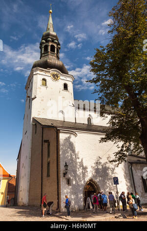 Kathedrale der Heiligen Maria der Jungfrau, auch bekannt als Domberg, Altstadt, Dom, Tallinn, Estland Stockfoto