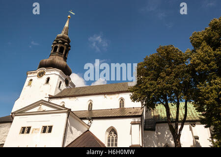 Kathedrale der Heiligen Maria der Jungfrau, auch bekannt als Domberg, Altstadt, Dom, Tallinn, Estland Stockfoto