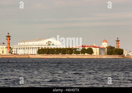 Alte Börse und rostral Spalten, Wassiljewski-Insel und Newa, Sankt Petersburg, Russland Stockfoto