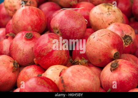 Ein Haufen von Granatapfel in eine Messe (Moncalvo, Piemont - Italien) Stockfoto