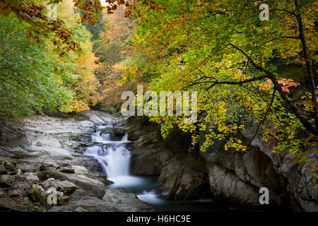 Herbst am Wasserfall Cubo im Wald von Irati, Navarra, Spanien - Ein farbenfroher Rückzugsort im Herbst Stockfoto