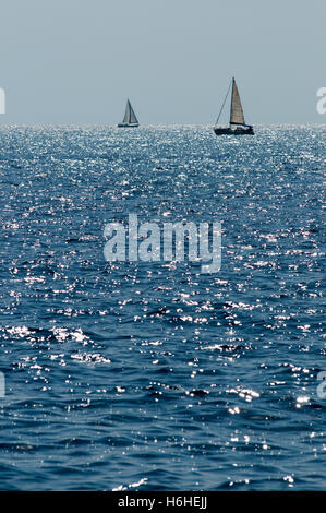 Segelboote auf der Adria, Istrien, Kroatien, Europa Stockfoto