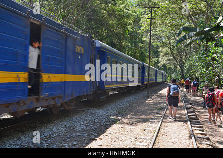 PeruRail Züge tragende Touristen von und nach Cusco verläuft entlang dem Wanderweg in Aguas Calientes am Fuße des Machu Picchu. Stockfoto