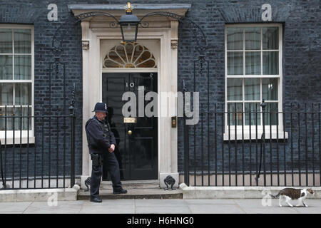 London, UK geht 29. Oktober 2016 Polizei Mann als Larry Downing Street Katze blickt auf vorbei an Zahl 10 Downing Street. Stockfoto