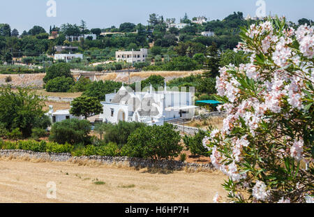 Traditionelle weiß gekalkten weißen Trulli Häuser in die Hügel der Stadt Locorotondo, Region Bari, Apulien (Puglia), Süditalien Stockfoto