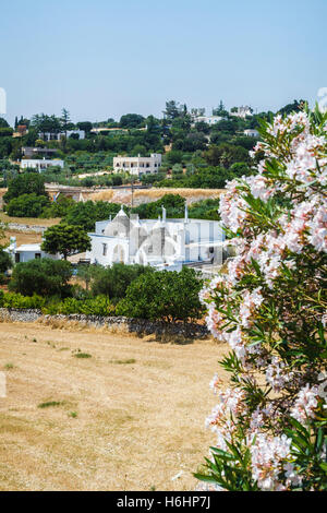 Traditionelle weiß gekalkten weißen Trulli Häuser in die Hügel der Stadt Locorotondo, Region Bari, Apulien (Puglia), Süditalien Stockfoto