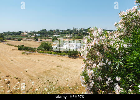 Traditionelle weiß gekalkten weißen Trulli Häuser in die Hügel der Stadt Locorotondo, Region Bari, Apulien (Puglia), Süditalien Stockfoto