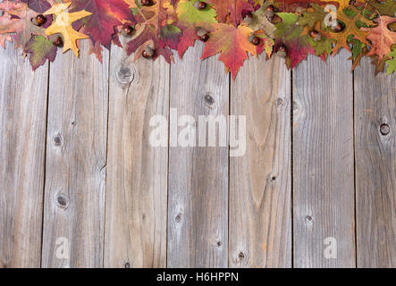 Oberen Rand des Herbst Laub und Eicheln auf rustikalen Holz mit allerlei Textfreiraum Stockfoto