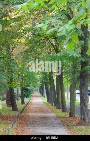 Gasse in Dessau, Deutschland Stockfoto