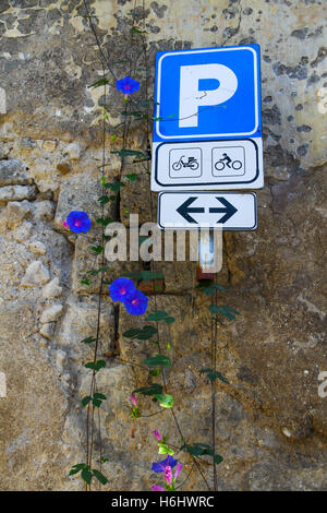 Blaues Parkschild, Straßenparkzone, Zonen, städtischer Hinweis, großer Buchstabe „P“, Universelle Sprache auf der ganzen Welt, frühmorgens Ruhm, beschränken. Stockfoto