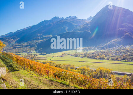 Weinberg im Herbst im Aosta-Tal mit Blick auf die Stadt von Fenis, Italien. Stockfoto