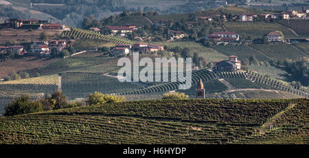 In der Region Piemont in Norditalien in La Morra. Die Weinberge liegen in der Barolo Wein Region. Stockfoto