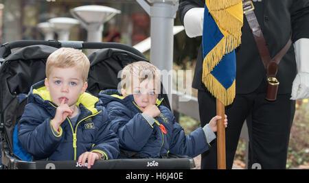 Brentwood, Essex, 29. Oktober 2016, kleiner Junge hält British Legion Standard bei Poppy appellieren, Brentwood, Essex Credit: Ian Davidson/Alamy Live News Stockfoto