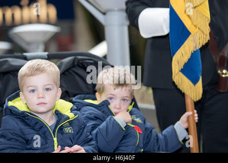 Brentwood, Essex, 29. Oktober 2016 kleiner Junge hält British Legion Standard bei Poppy appellieren, Brentwood, Essex Credit: Ian Davidson/Alamy Live News Stockfoto