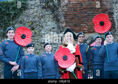 Brentwood, Essex, 29. Oktober 2016 starten der Mohn Beschwerde, Brentwood, Essex Credit: Ian Davidson/Alamy Live News Stockfoto