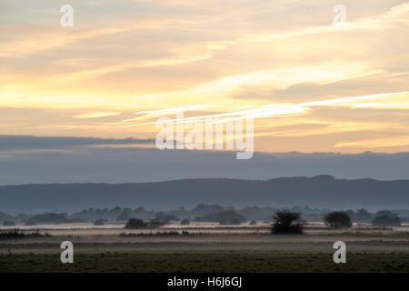 Eastbourne, England. 29. Oktober 2016. UK-Wetter. Sonnenuntergang über den Sussex Downs und Nebel in den Bereichen Verlegung. Bildnachweis: Jason Richardson / Alamy Live News Stockfoto