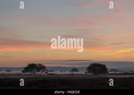 Eastbourne, England. 29. Oktober 2016. UK-Wetter. Sonnenuntergang über den Sussex Downs und Nebel in den Bereichen Verlegung. Bildnachweis: Jason Richardson / Alamy Live News Stockfoto