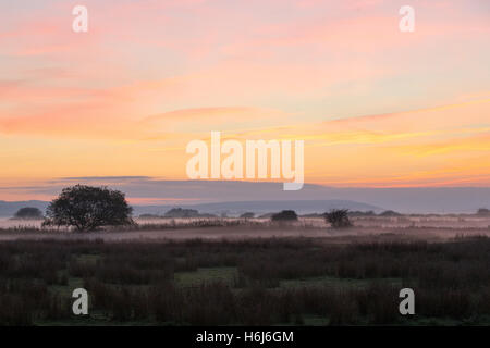 Eastbourne, England. 29. Oktober 2016. UK-Wetter. Sonnenuntergang über den Sussex Downs und Nebel in den Bereichen Verlegung. Bildnachweis: Jason Richardson / Alamy Live News Stockfoto