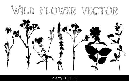 Satz von Silhouetten von wilden Blumen und Blätter auf einem weißen Hintergrund-Vektor Stock Vektor