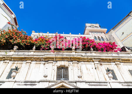 Lila Blumen auf dem Balkon eines alten Mehrfamilienhauses Lissabon Stockfoto